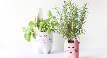 DIY Pot Tanaman Estetik dari Tanah Liat