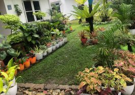 Mendekorasi Taman Rumah