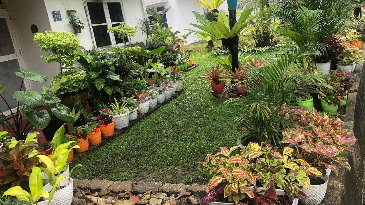 Mendekorasi Taman Rumah